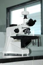 microanalisi
