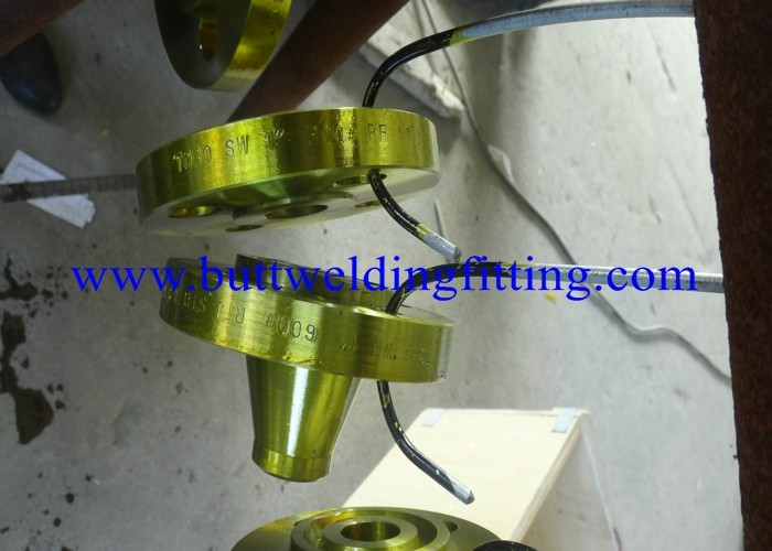 ANSI A182 F316 Weld Neck Forged Steel Flanges A403 WP304 A403 WP304L