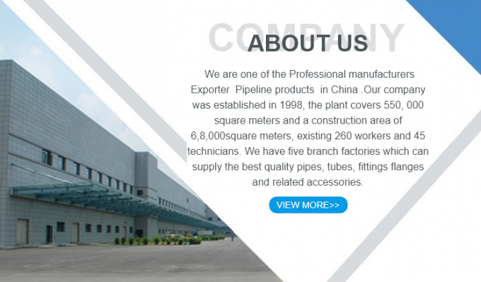 Metallo di alta qualità 304 tubo in acciaio inossidabile Fitting testa quadrata solida plug 1/2/3/4/6 punti NPT1/2 7