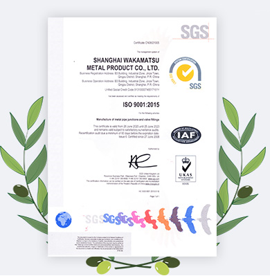 Acciaio inossidabile 40*32 DN Reduttore eccentrico WP316LN SCH80 SCH40 10