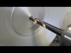 Flange d'acciaio forgiate