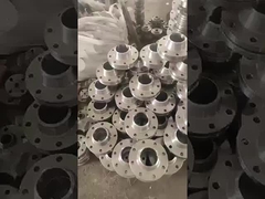 flangia di acciaio inossidabile