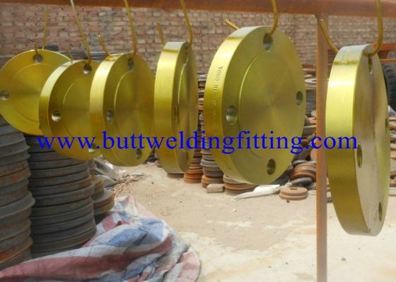 Stainless Steel SS304 SS316 BS4504 Blind Flat Welding Flange For Piping Systems